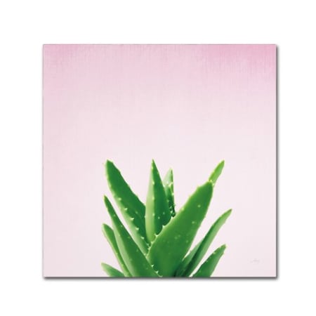 Felicity Bradley 'Succulent Simplicity V On Pink' Canvas Art,35x35